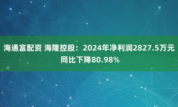 海通富配资 海隆控股：2024年净利润2827.5万元 同比下降80.98%