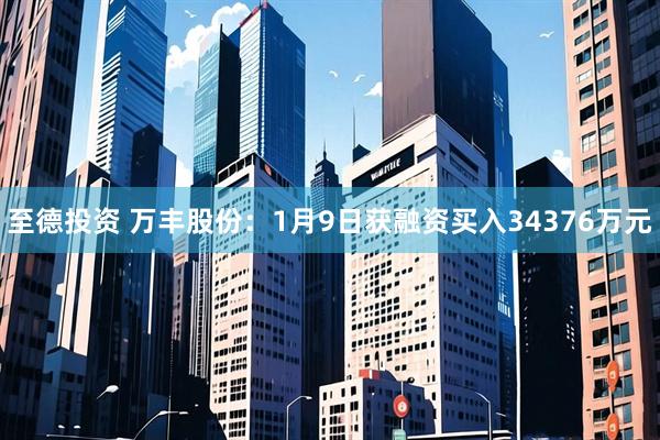 至德投资 万丰股份：1月9日获融资买入34376万元